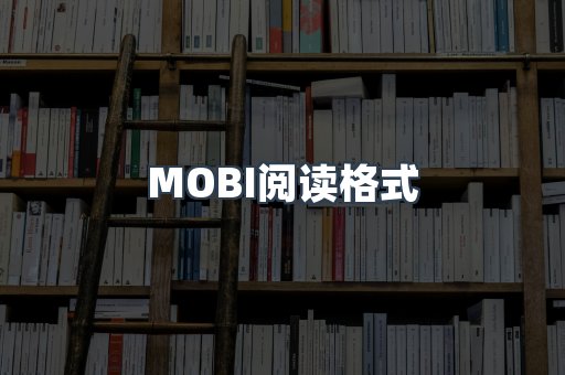 MOBI阅读格式